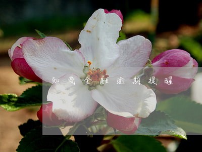 知商金融逾期提醒