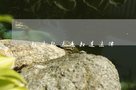 知法犯法是知道法律 知法犯法是知道法律