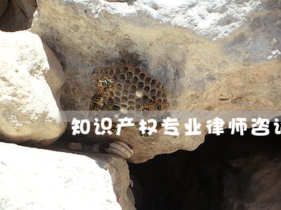 知识产权专业律师咨询 知识产权专业律师咨询