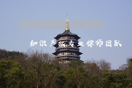 知识产权专业律师团队 知识产权专业律师团队