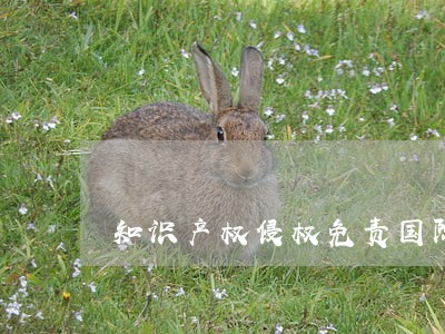 知识产权侵权免责国际经济法 知识产权侵权免责国际经济法