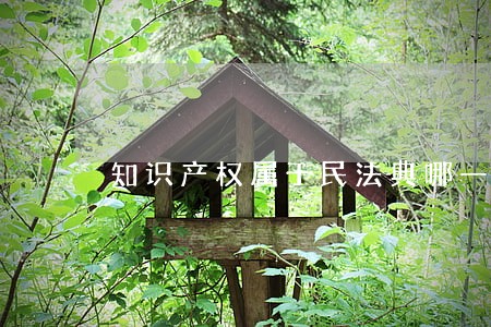 知识产权属于民法典哪一编 知识产权属于民法典哪一编
