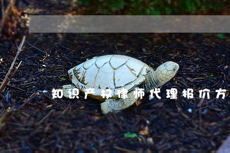 知识产权律师代理报价方案 知识产权律师代理报价方案