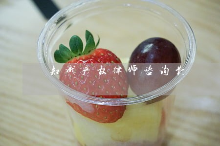 知识产权律师咨询费
