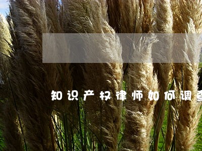 知识产权律师如何调查取证 知识产权律师如何调查取证