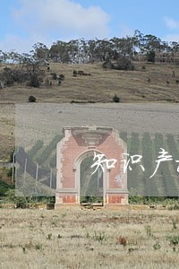 知识产权律师工作职责 知识产权律师工作职责