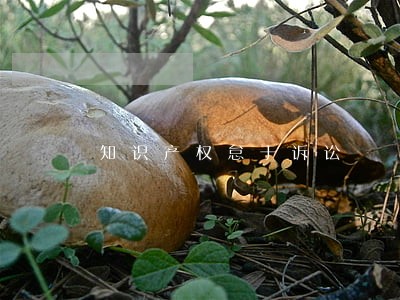 知识产权怠于诉讼 知识产权怠于诉讼