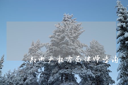 知识产权方面律师咨询 知识产权方面律师咨询