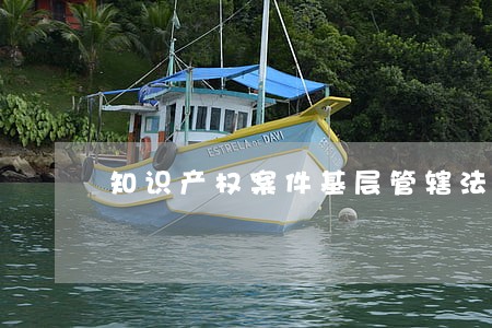 知识产权案件基层管辖法院管辖 知识产权案件基层管辖法院管辖