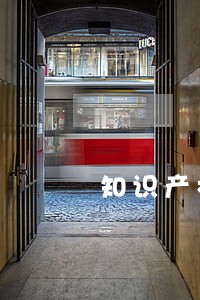 知识产权法律关系构成