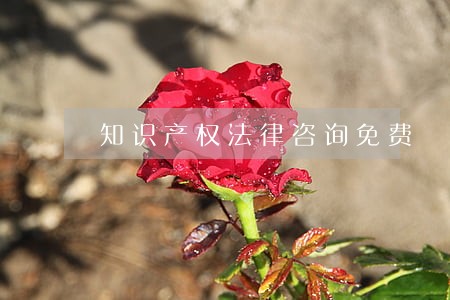 知识产权法律咨询免费 知识产权法律咨询免费