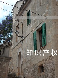 知识产权法律咨询机构 知识产权法律咨询机构