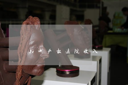 知识产权法院收入