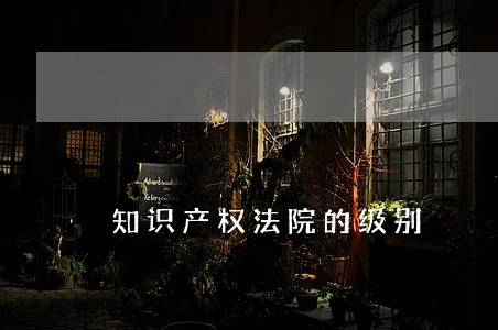 知识产权法院的级别 知识产权法院的级别