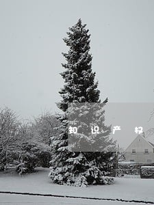 知识产权申诉律师怎么收费 知识产权申诉律师怎么收费