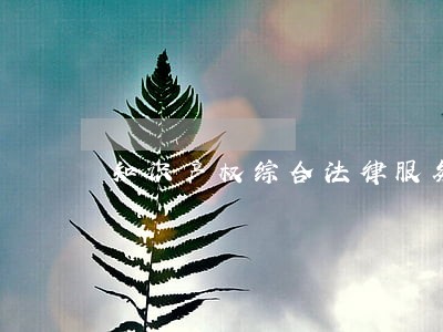 知识产权综合法律服务揭牌 知识产权综合法律服务揭牌