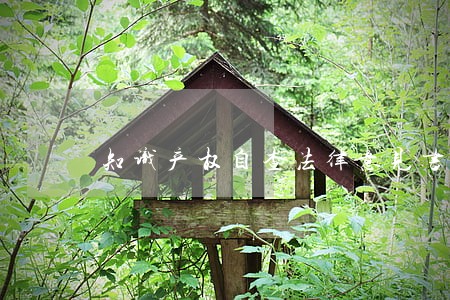 知识产权自查法律意见书