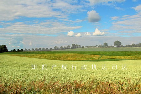 知识产权行政执法司法