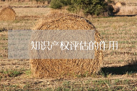 知识产权评估的作用 知识产权评估的作用