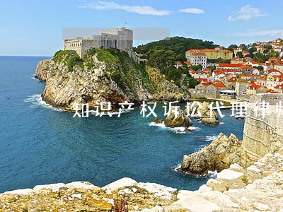 知识产权诉讼代理律师事务所 知识产权诉讼代理律师事务所