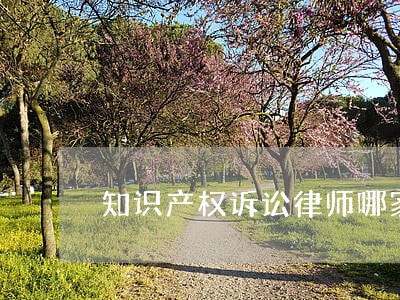 知识产权诉讼律师哪家强 知识产权诉讼律师哪家强