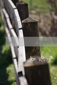 知识产权诉讼方案