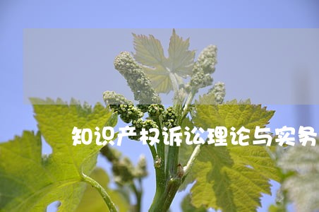 知识产权诉讼理论与实务探析 知识产权诉讼理论与实务探析