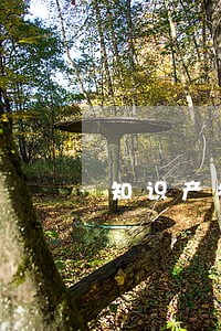 知识产权辩护律师收费 知识产权辩护律师收费