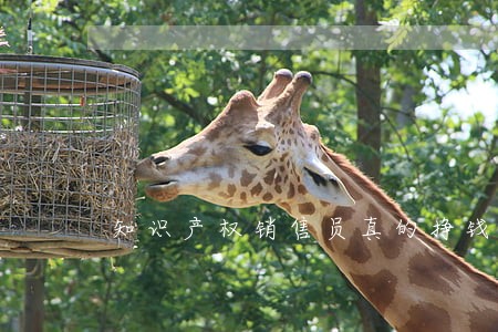 知识产权销售员真的挣钱么 知识产权销售员真的挣钱么