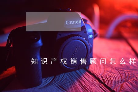 知识产权销售顾问怎么样