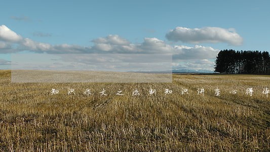 知识作文之法制知识讲座心得体会 知识作文之法制知识讲座心得体会