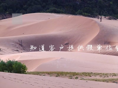 知道客户提供假单位贷款违法吗