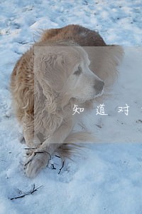 知道对方号码定位对方位置违法吗