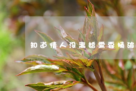 知道情人没离婚需要捅破吗 知道情人没离婚需要捅破吗