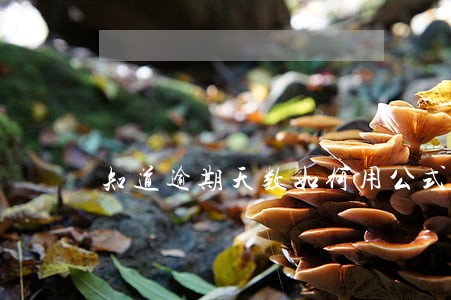 知道逾期天数如何用公式取金额 知道逾期天数如何用公式取金额