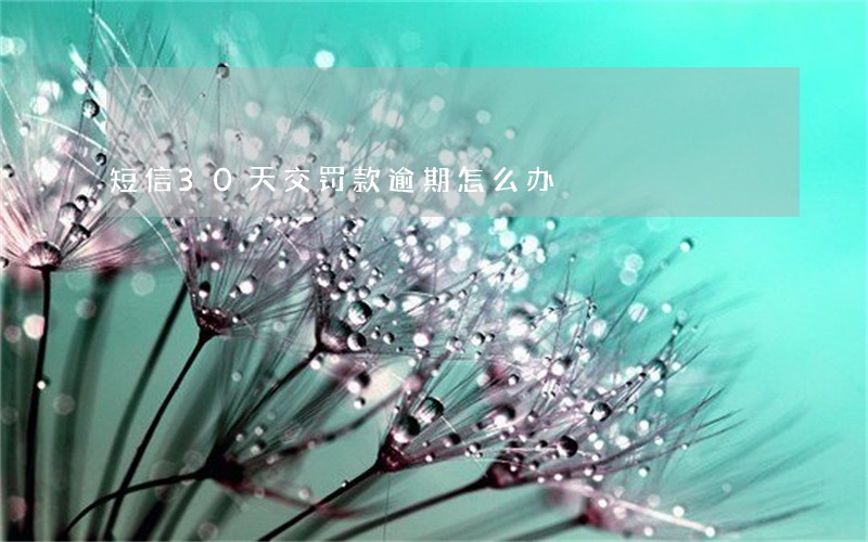 短信30天交罚款逾期怎么办 短信30天交罚款逾期怎么办