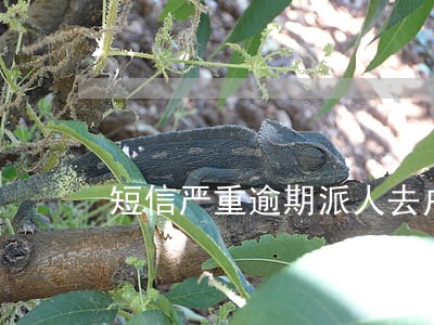 短信严重逾期派人去户籍地清收 短信严重逾期派人去户籍地清收