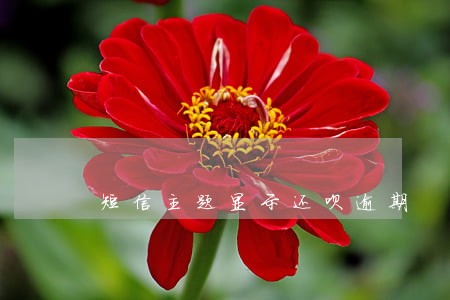 短信主题显示还呗逾期 短信主题显示还呗逾期