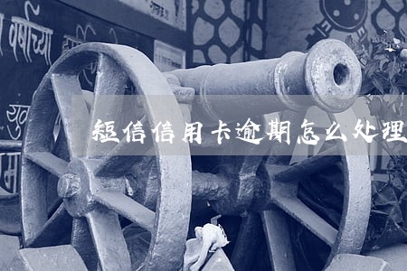 短信信用卡逾期怎么处理 短信信用卡逾期怎么处理