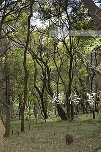 短信写名字贷款逾期 短信写名字贷款逾期