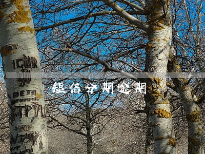 短信分期逾期 短信分期逾期