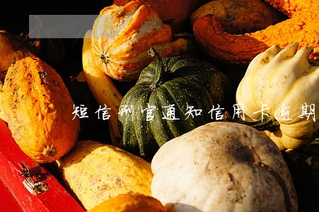 短信刑官通知信用卡逾期 短信刑官通知信用卡逾期