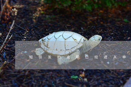 短信发的逾期已经进入申诉 短信发的逾期已经进入申诉