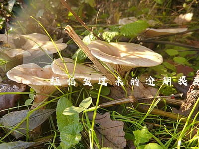 短信发过来的逾期提醒函 短信发过来的逾期提醒函