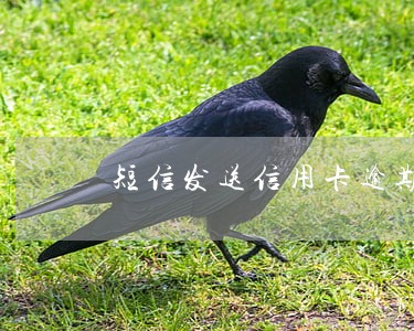 短信发送信用卡逾期催款函