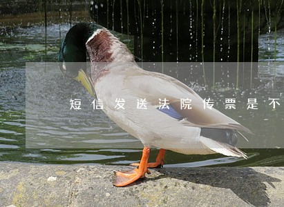 短信发送法院传票是不是真的 短信发送法院传票是不是真的