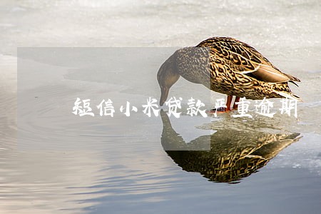 短信小米贷款严重逾期