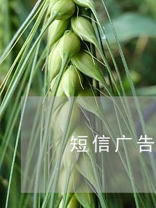 短信广告投放违法吗
