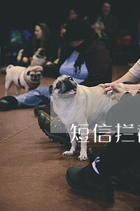 短信拦截逾期申诉 短信拦截逾期申诉