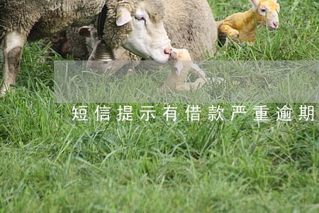短信提示有借款严重逾期 短信提示有借款严重逾期